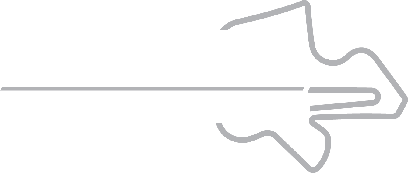 Petronas Sepang International Circuit
